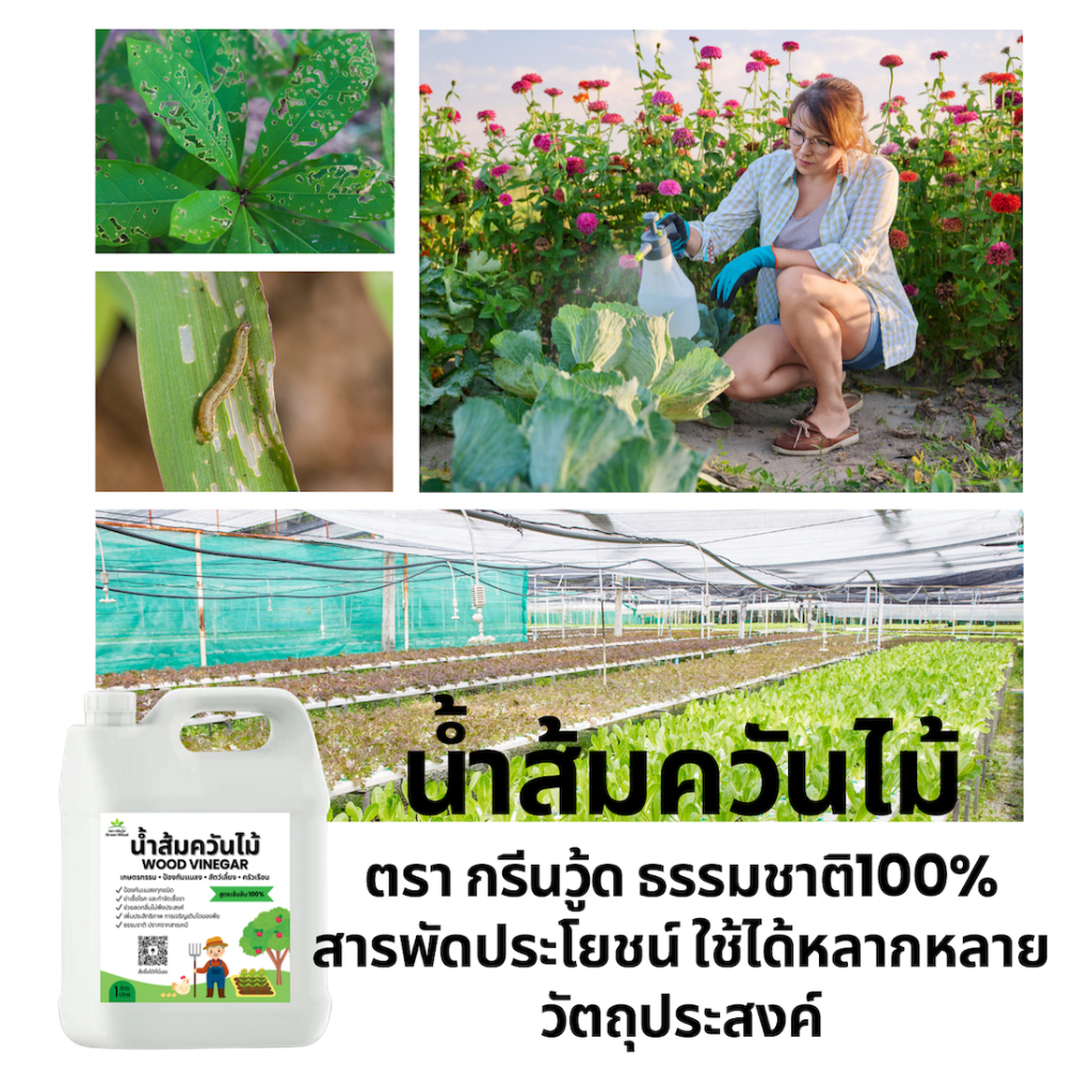 รูปภาพ 6