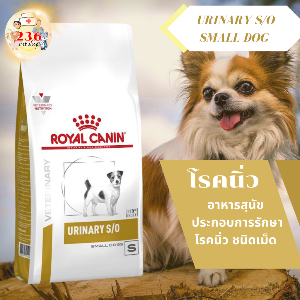 Royal Canin Urinary s/o small dog 1.5 kg. อาหารสำหรับสุนัขพันธุ์เล็กโรคนิ่ว