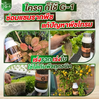 เร่งราก ปราบเชื้อรา (โกรว์รูธ จีวัน+ แอนติฟังกัส) รากดี ใบดก ต้นสมบูรณ์ ปลอดเชื้อราโรคพืช