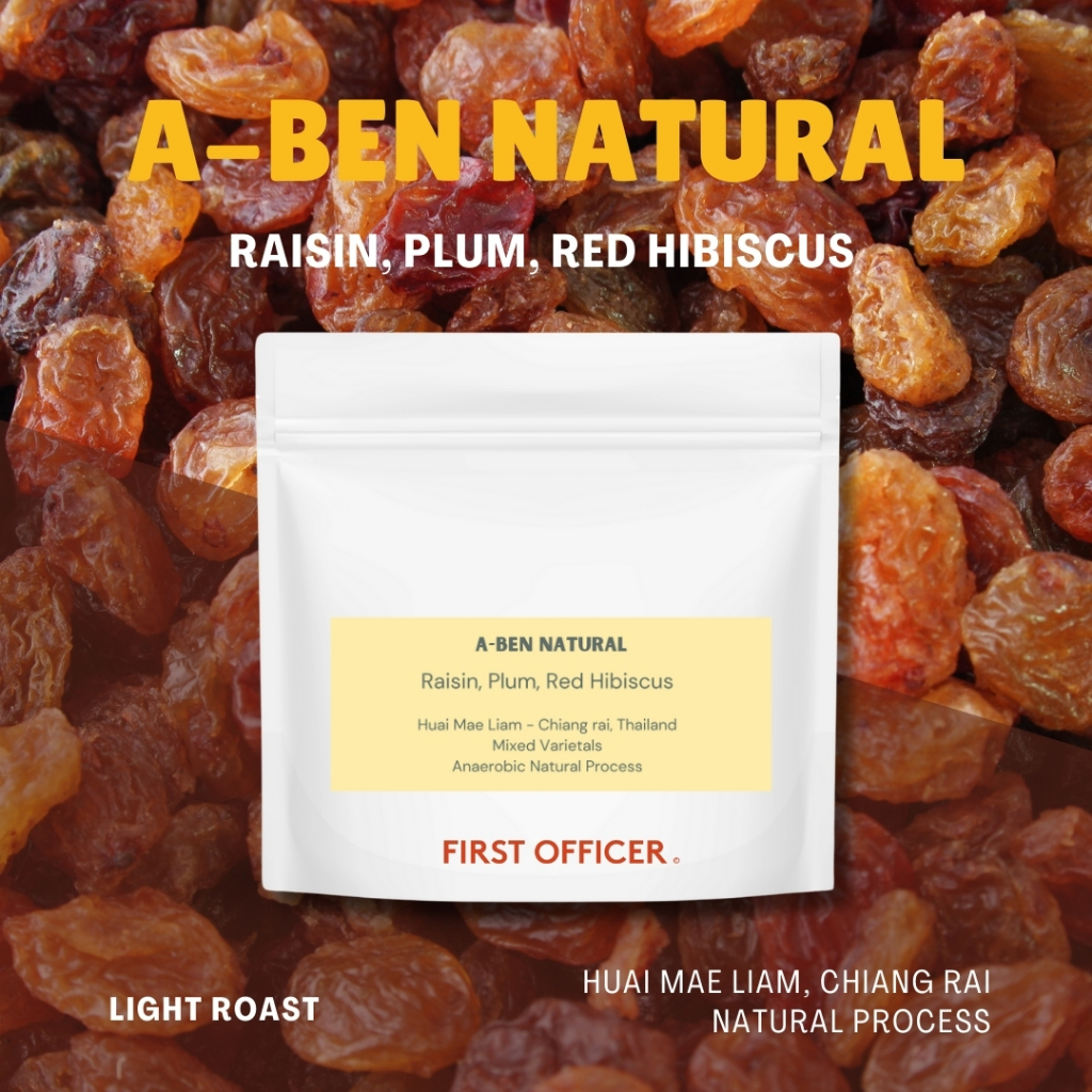 เมล็ดกาแฟ (คั่วอ่อน) A-BEN Natural [Glocal Selection]