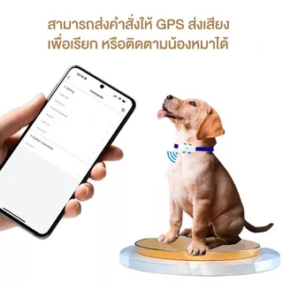 G-Dog GPS ติดตามสัตว์เลี้ยง โดยยึดกับปลอกคอ ช่วยติดตามสัตว์เลี้ยง มีเสียงช่วยให้การติดตามง่าย