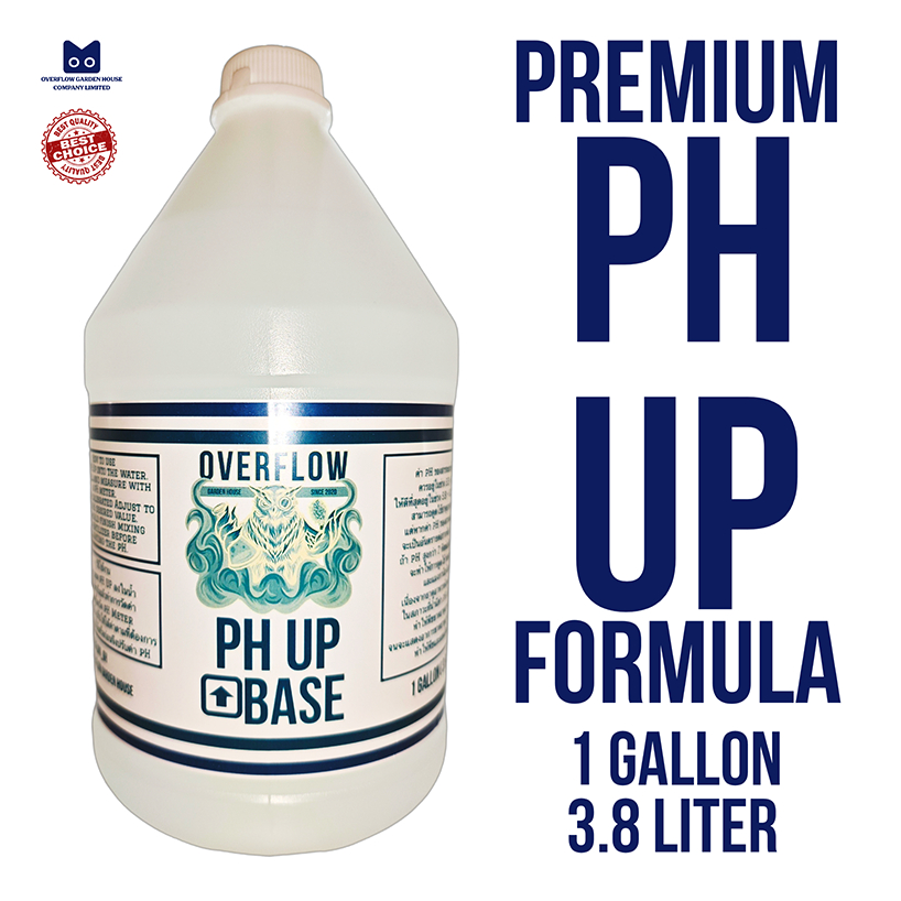 Premium pH Up formula 3.8 ลิตร High Stable