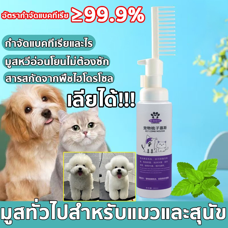 โฟมอาบน้ำ สำหรับสุนัข และแมว แชมพูแมว/แชมพูสุนัข ไม่ต้องใช้น้ำในการทำความสะอาด หวีสุนัข หวีแมว แปรงขนสัตว์เลี้ยง