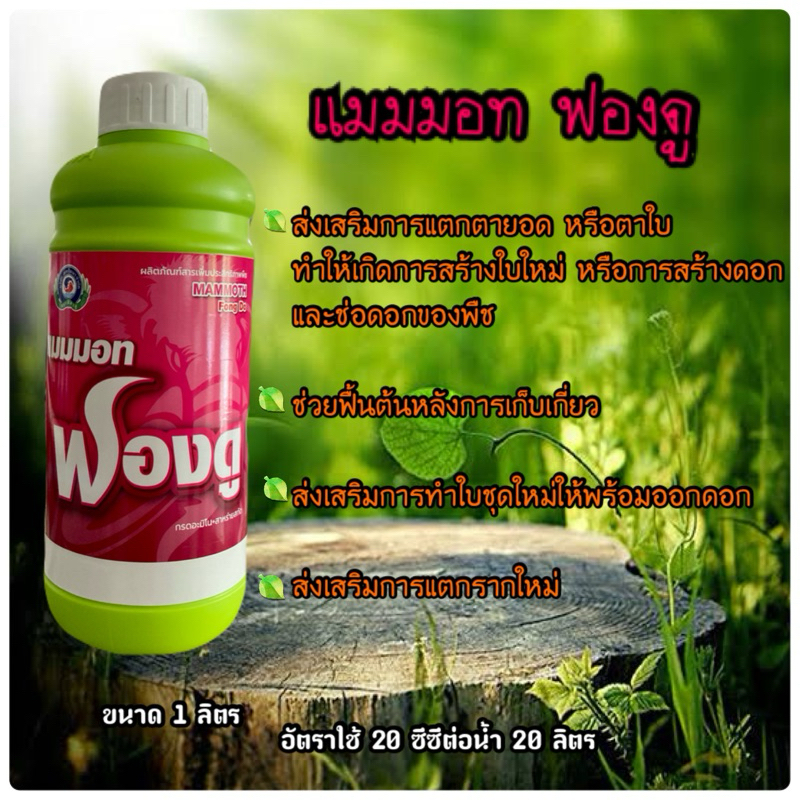 แมมมอท ฟองดู เทพวัฒนา ขนาด 1 ลิตร