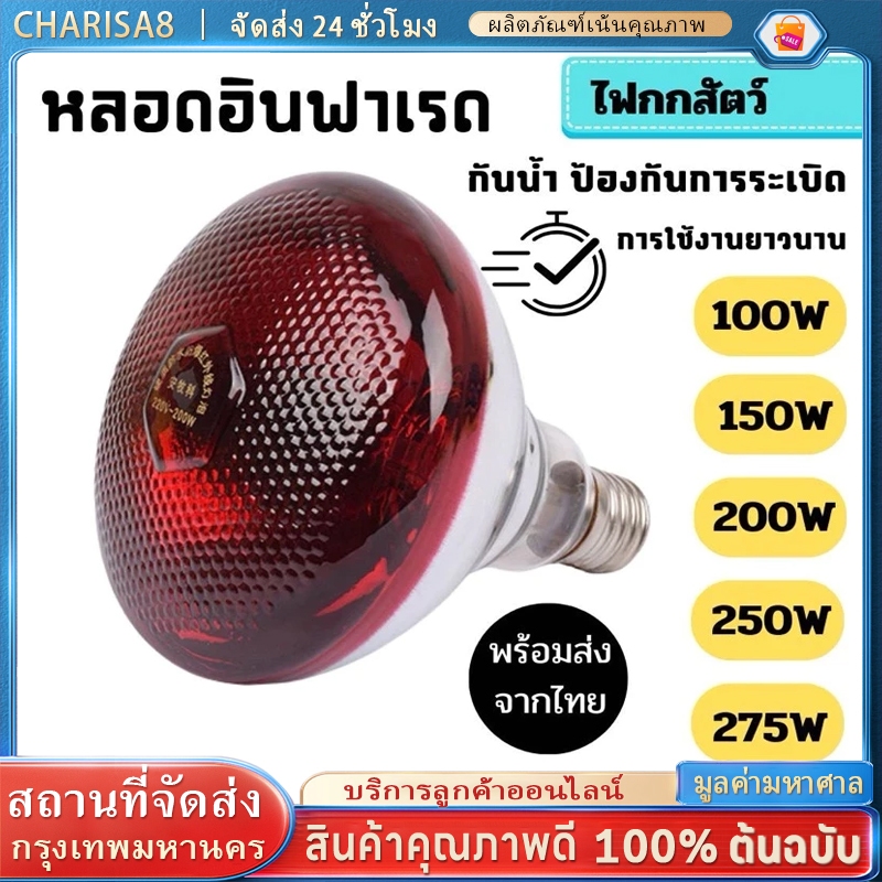 250w ไฟกกสัตว์ ไฟอินฟาเรด ไฟให้ความอบอุ่นสัตว์ รุ่นแก้วเรียบ ไฟกกหมู ไฟกกไก่