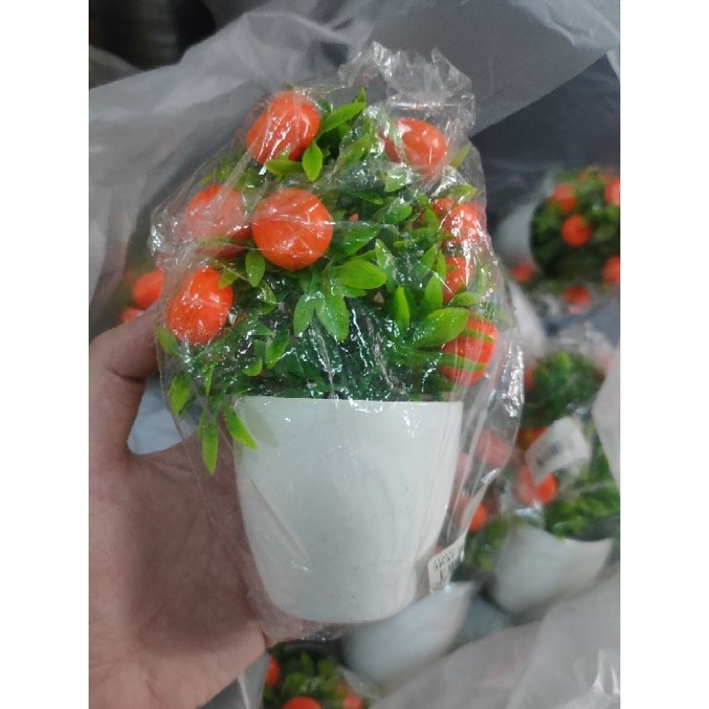 ตรุษจีน รับทรัพย์ ร่ำรวย ต้นส้มมงคล ต้นส้ม ต้นไม้ปลอม พร้อมส่ง