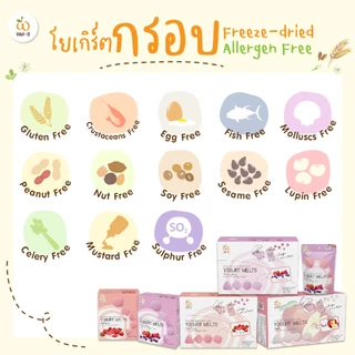 Wel-B Freeze-Dried Cheese Strawberry 20g (ชีสกรอบ รสสตรอว์เบอรี่ 20 กรัม) 1ซอง