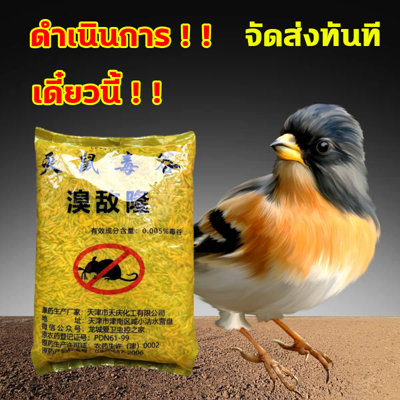 เหยื่อกำจัดนกพิราบและนกทุกชนิด 2500g ยาฆ่านก ยาเบื่อนกพิราบ ตายกลางแจ้งตายแห้งไม่เหม็น เหยื่อกำจัดนกพิราบ ยากำจัดนกพิราบ