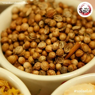 เม็ดผักชี เบอร์ 0 ง่วงจี้ (Coriander Seed) ขนาด 1 กิโลกรัม