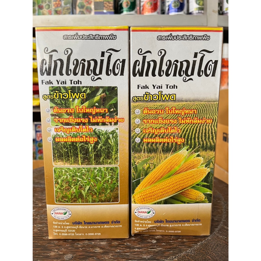 ฮอร์โมนบำรุง ฝักใหญ่โต สำหรับข้าวโพด