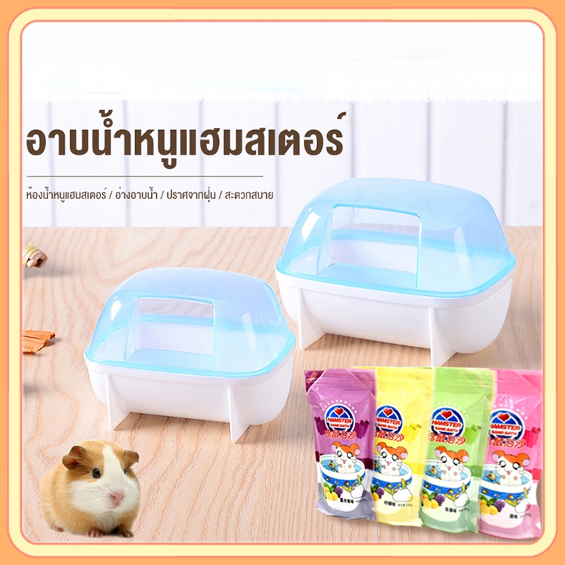 petsecret หนูแฮมสเตอร์โทโทโร่อาบน้ําทราย
