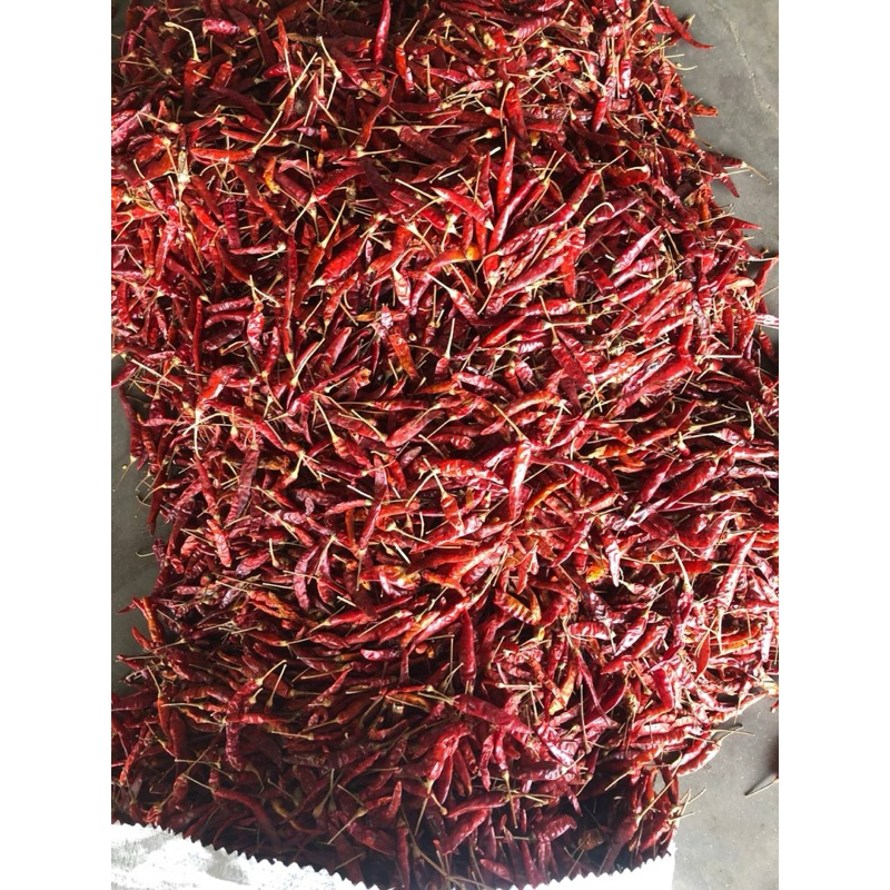 พริกจินดา (ก้านอ้วน)   เผ็ด  คัดสวย น้ำหนัก  1 กิโลกรัม - รูปที่ 5