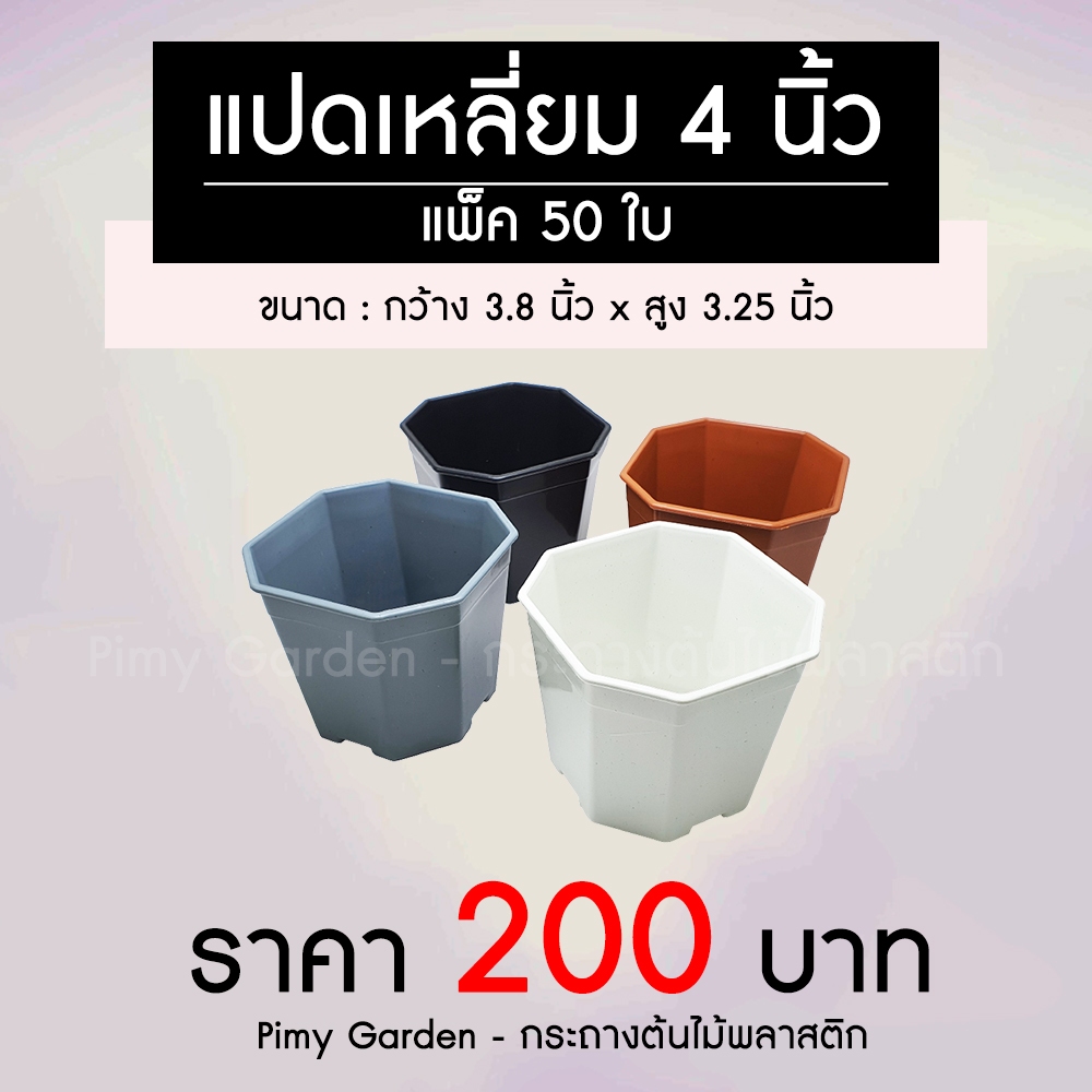 กระถางแคคตัส ทรงแปดเหลี่ยม 4 นิ้ว แพ็ค 50 ใบ