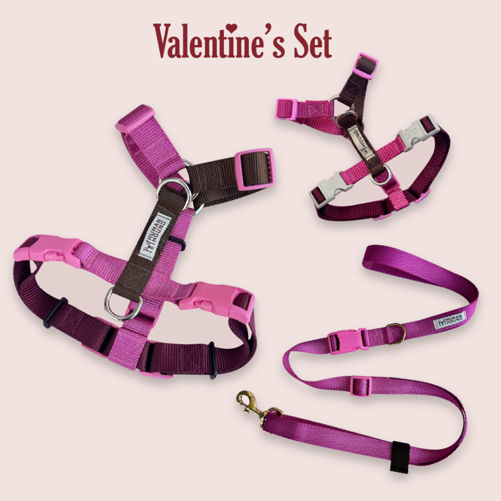Valentine's Set H-harness สายรัดอกสุนัข Human and Hound รุ่น ไซส์ XS-L :  สี Valentine's Chocolate ชุดวาเลนไทน์