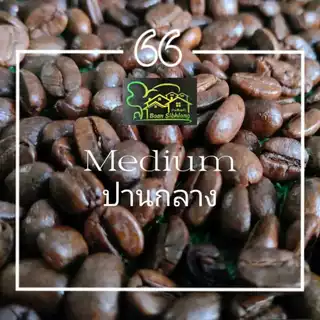 เมล็ดกาแฟโรบัสต้า 100% บรรจุ 500g