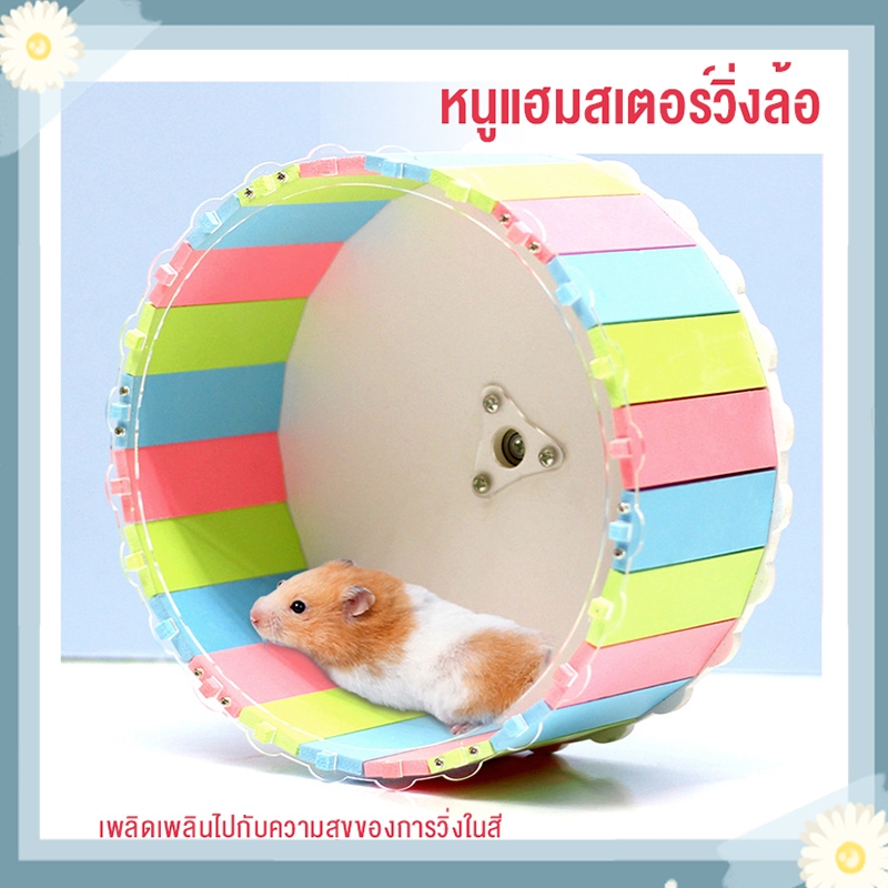 รองรับ COD วงล้อหนูแฮมสเตอร์แบบสีขนาด 13-18.5 cm พร้อมขาตั้ง วิ่งสัตว์เลี้ยงขนาดเล็ก ของเล่น กระรอก ชูก้า
