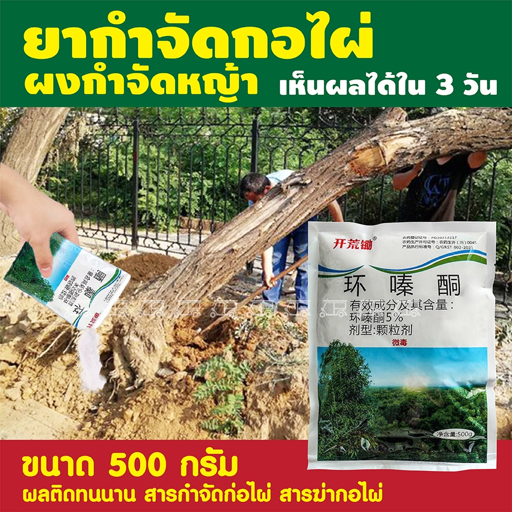 ผงกำจัดรากไม้ กอไผ่ ขนาด 500g เห็นผลจริง!! 💢 ยากำจัดกอไผ่ ผงกำจัดต้นไผ่ ยาฆ่าตอไม้ ผงกำจัด รากไม้ รากพืช