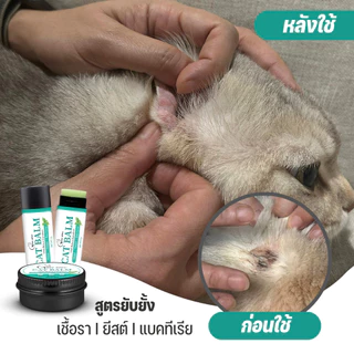 Goodboss Cat Balm บาล์มสำหรับเเมว ขนาด 50 กรัม เชื้อรา ยีสต์ ลดอาการคัน เกา ขนร่วง ผลิตภัณฑ์ออแกนิค
