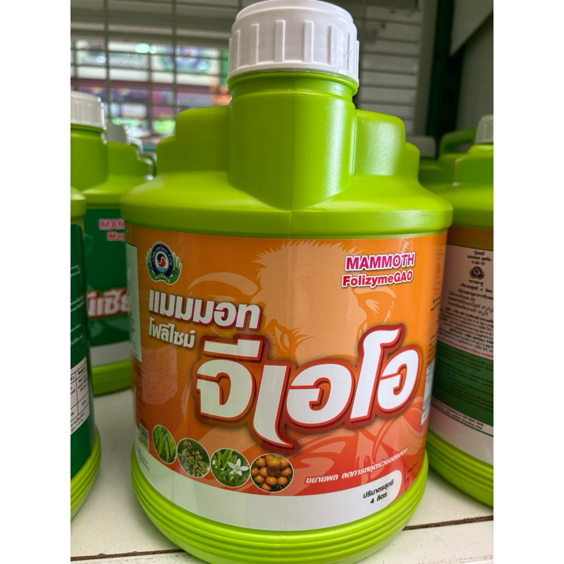 สะสมอาหารทางใบ เพิ่มการออกดอก ในสูตรปุ๋ย 0-17-5 // แมมมอท จีเอ ขนาด 4 ลิตร