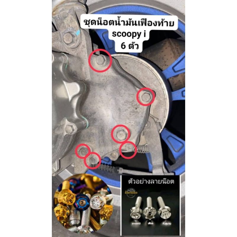 น๊อตน้ำมันเฟืองท้าย scoopy . click 110iiสแตนเลสแท้ 1 ชุดได้ 6 ตัว
