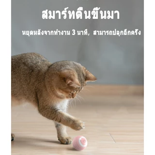 ของเล่นแมว ลูกบอลแมว การชาร์จ ปราดเปรื่อง ของใช้แมว cat toy แมวเล่นด้วยตัวเอง แมว ออกกำลังกาย