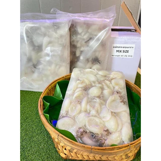 หมึกกระดองเจาะ คละไซต์ 1Kg. (Nw70%) ✨🦑 🚛เหมาค่าส่ง ฟรีกล่องโฟม!! ทุกจังหวัดทั่วไทย🎉 หมึกกระดอง ปลาหมึก