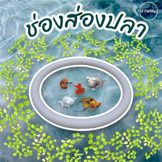 ช่องส่องปลา วงให้อาหารปลา ห่วงกั้นจอกแหน แหวนให้อาหารปลา ห่ว…