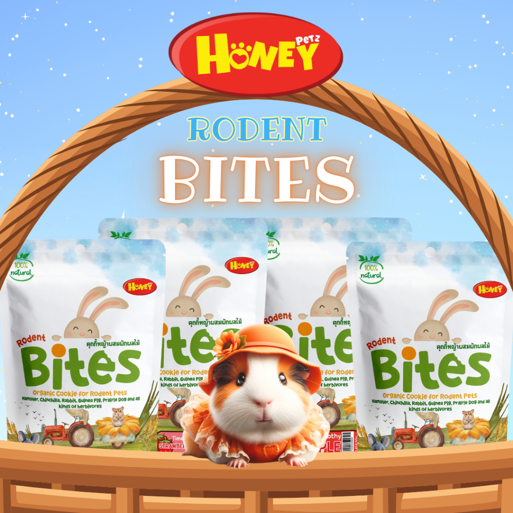 คุกกี้หญ้า ขนมทานเล่นสำหรับใช้ฝึกสัตว์ RODENT BITES