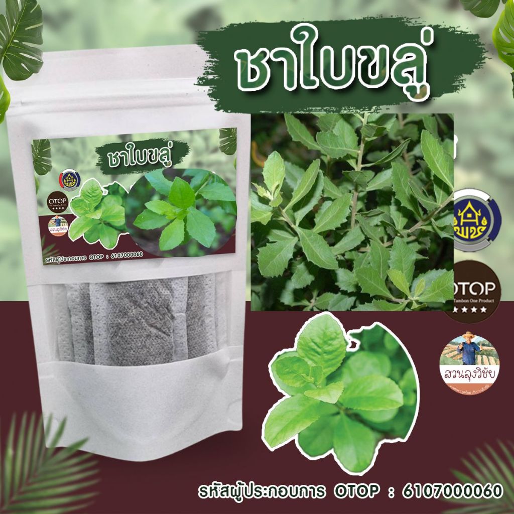 ชาใบขลู่ ชนิดพร้อมชง12 ซอง (ชาขลู่100%) ออกใบกำกับได้ สินค้าดี OTOP กลิ่นหอม 12 ซอง