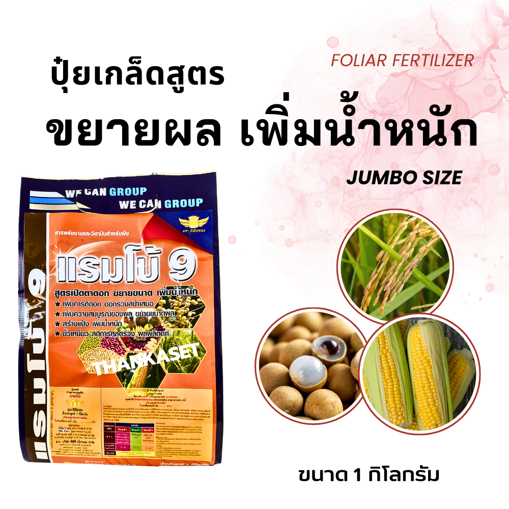 แรมโบ้ ปุ๋ยเกล็ด สูตร ขยายผล ลำไย ข้าวโพด ข้าว เพิ่มน้ำหนักรวง น้ำหนักเมล็ด ขนาด 1 กิโลกรัม