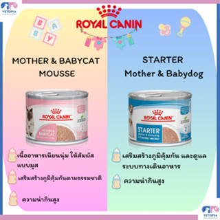 Royal Canin Mother & Babycat/Babydog canอาหารแม่แมว&ลูกแมว/แ…