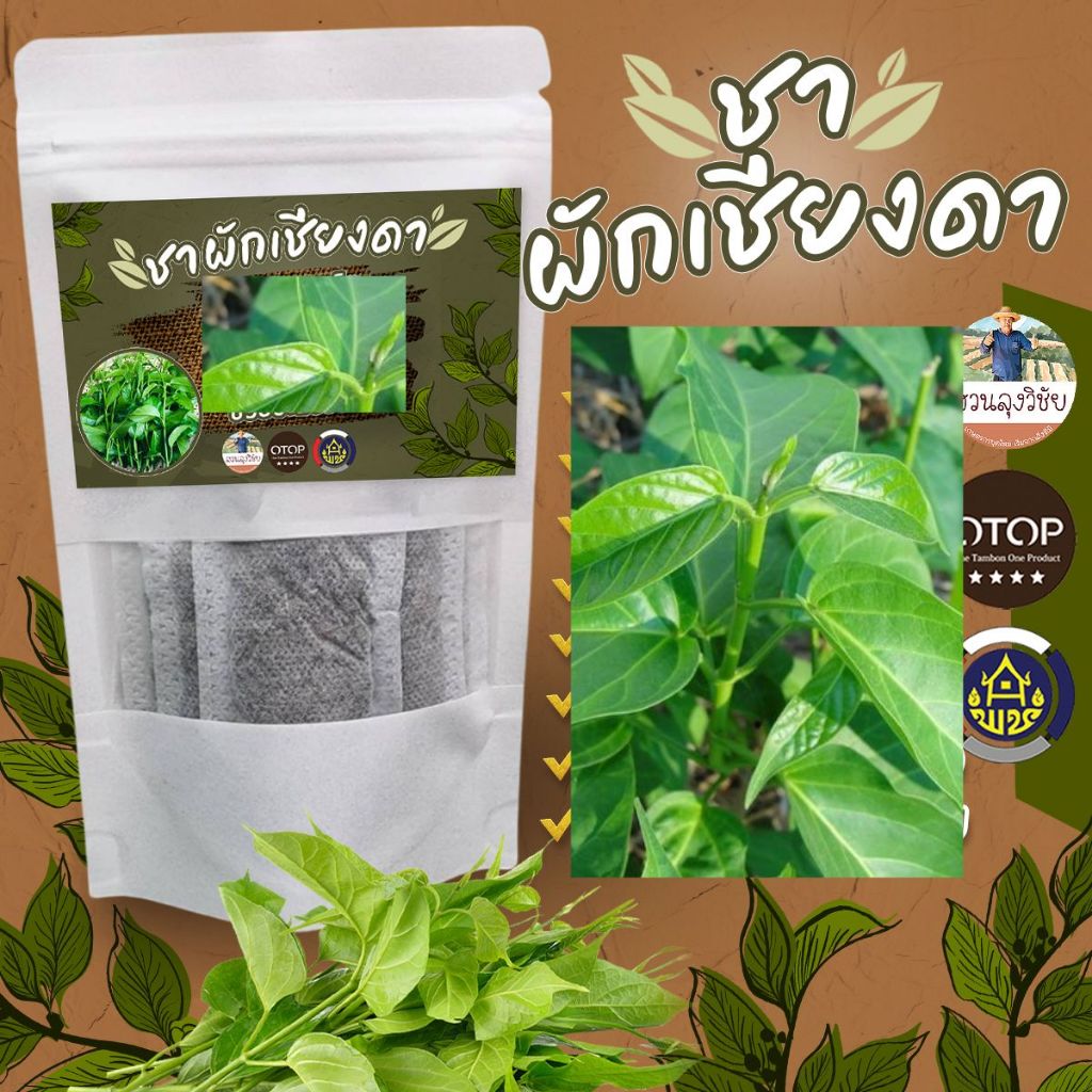 ชาผักเชียงดา ชาผักเชียงดา ชาผักเชียงดาออร์แกนิค จาก OTOP ออกใบกำกับได้ ขาชงผักเชียงดา 12 ซองชา