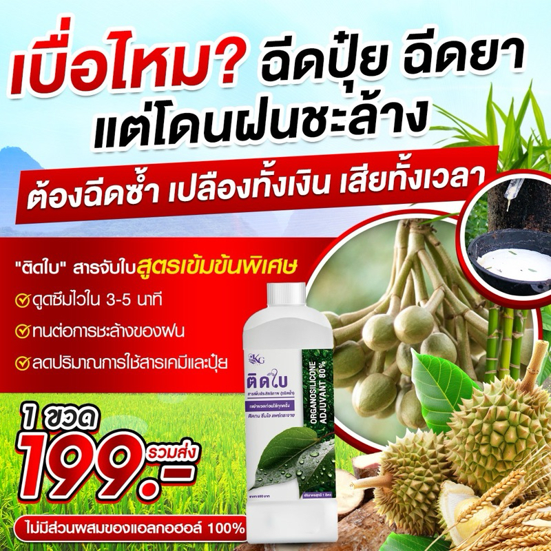 ติดใบ สารจับใบ คุณภาพสูง สารเพิ่มประสิทธิภาพการดูดซึม ติดใบ ติดทน ผสมปุ๋ยน้ำฮอร์โมนพืช (ขนาด 1 ลิตร)