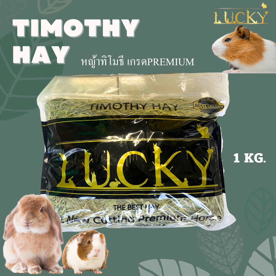 LUCKY หญ้าทิโมธี พรีเมี่ยม (1kg) New cutting premium horse  Imports from USA