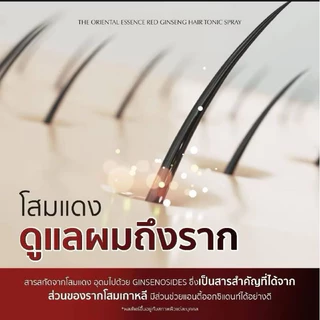 ผมบางเห็นผล ลูกค้าซื้อซ้ำเยอะ | สเปรย์ปลูกผม ลดผมร่วง The Oriental Essence 100ml (สเปรย์1ขวด)
