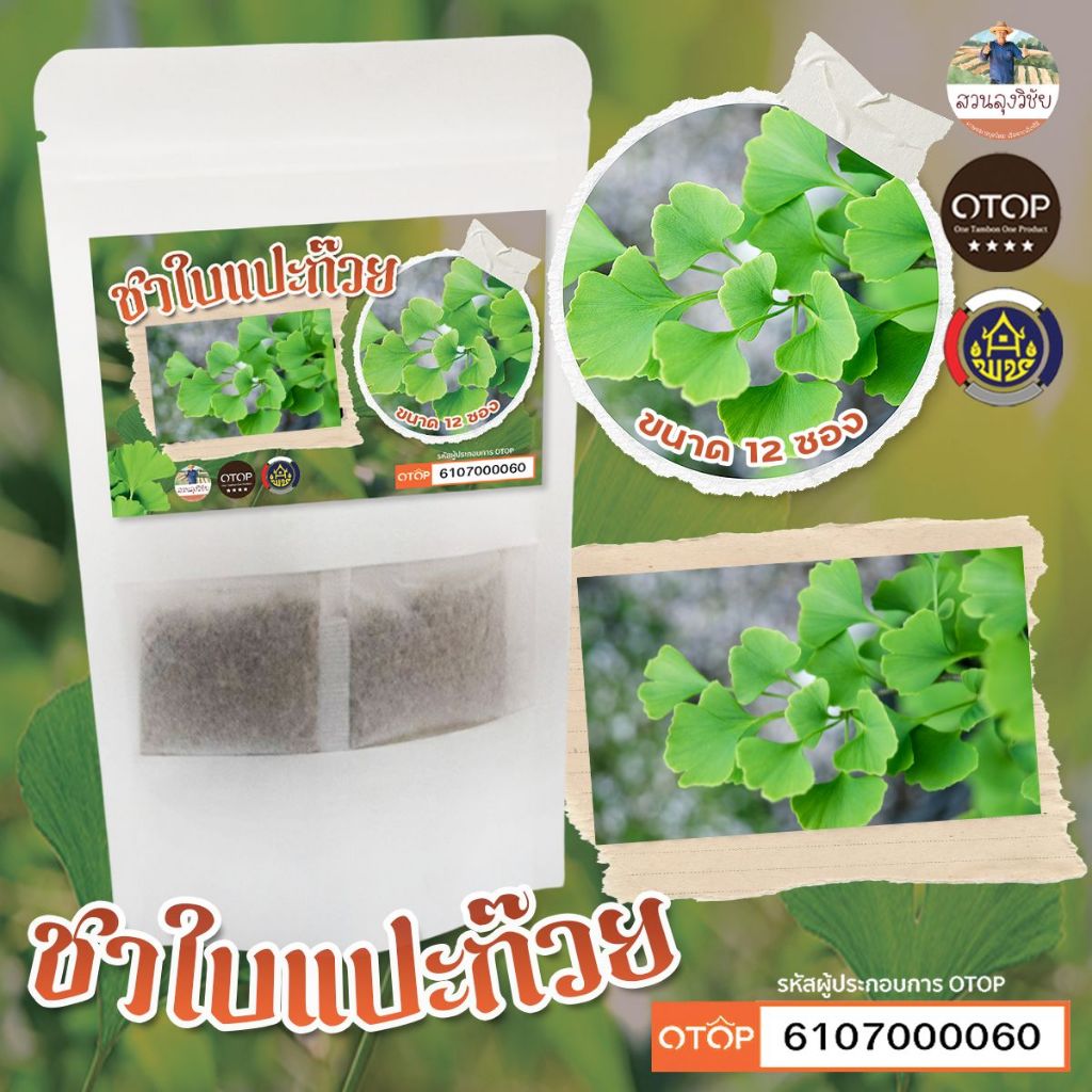 ชาใบแปะก๊วย บรรจุ 30 ซองชา  Ginkgo Biloba Teaไม่มีน้ำตาล,รสชาติดี ,กลิ่นหอม