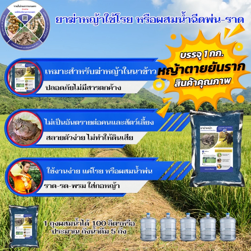 ยาฆ่าหญ้า วัชพืช ไม้เลื้อย ที่ปลอดภัยกับคนและสัตว์เหมาะสำหรับบ้านหรือสวนที่มีการเลี้ยงสัตว์ ในนาข้าว