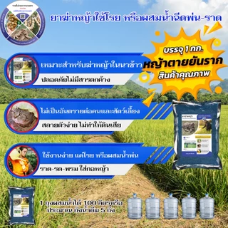 ยาฆ่าหญ้า วัชพืช ไม้เลื้อย ที่ปลอดภัยกับคนและสัตว์เหมาะสำหรับบ้านหรือสวนที่มีการเลี้ยงสัตว์ ในนาข้าว