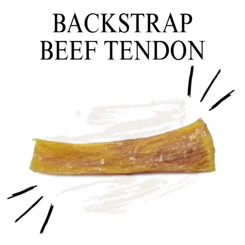 ขัดฟันน้องหมา ใหม่ล่าสุด เอ็นวัวเหลืองวัวอบแห้ง สำหรับสุนัข(BACKSTRAP BEEF TENDON)