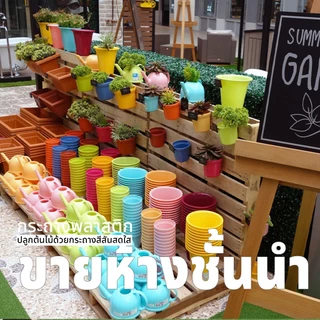 กระถางต้นไม้พลาสติก กระถางมินิมอล กระถางโมเดิร์นระบายน้ำได้ดีป้องกันรากเน่า พลาสติกแข็งแรงงานญี่ปุ่น