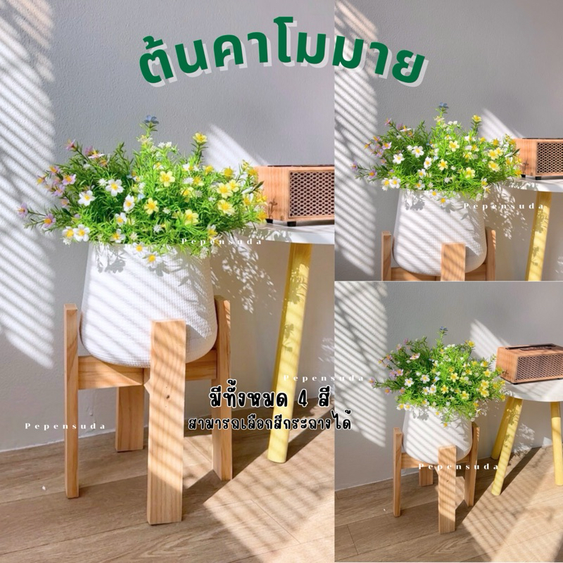 ต้นคาโมมาย 💕 พร้อมกระถางโมเดิร์น 45-60 ซม. ต้นคาโมมายเสมือนจริง