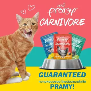 PRAMY CARNIVORE (1กล่อง12ซอง) อาหารเปียกแมว พรามี่ คาร์นิวอร์ โปรตีนสูงเนื้อสัตว์เน้นๆ fs