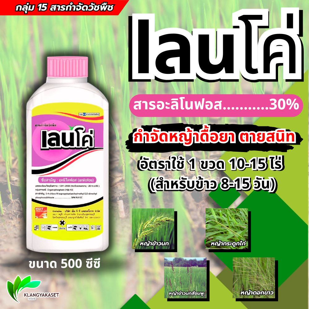 เลนโค่ 500 ซีซี อะนิโลฟอส30%EC กำจัดวัชพืชดื่อยา หญ้าข้าวนก หญ้าข้าวนกสีชมพู หญ้าดอกขาว หญ้ากระดูกไก่