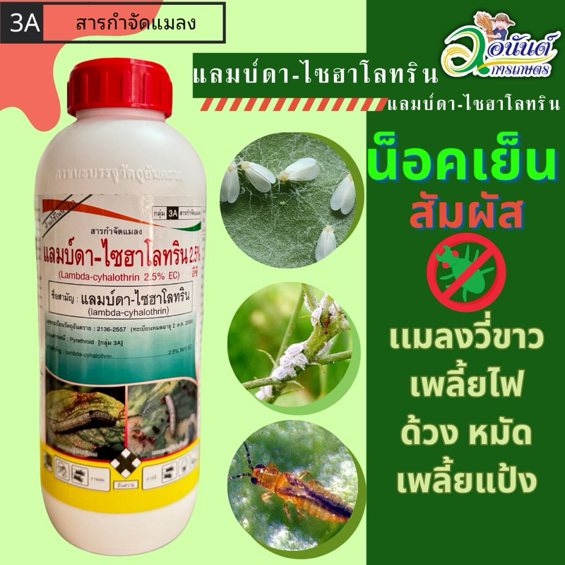 แลมบ์ดา-ไซฮาโลทริน กำจัดแมลงเพลี้ยไฟ แมลงบิน สูตรเย็น ขนาด1ลิตร ราคา ถูกที่สุด ดีลบีเคเค รูปภาพหลัก
