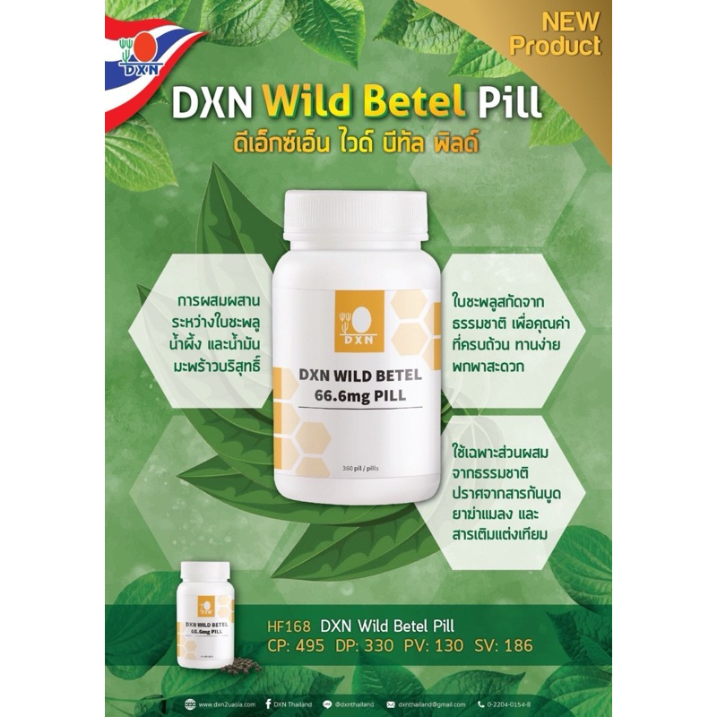 ใบชะพลูDxn  ชนิดเม็ด