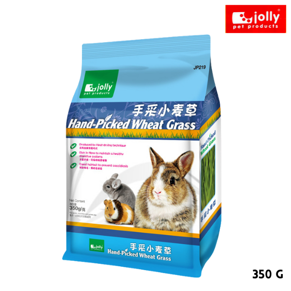 Jolly (จอลลี่) Hand-Picked Wheat Grass หญ้าวีทกราส ต้นข้าวสาลีอ่อน หญ้าสำหรับกระต่าย ชินชิล่า และแกสบี้ (350g) (JP219)