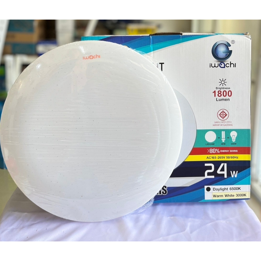 IWACHIโคมไฟติดเพดาน LED ไฟซาลาเปา โคมกลม LED 24W/28W  แสงสีขาว