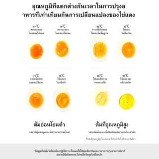 เครื่องต้มไข่ เครื่องนึ่งอาหาร ที่ต้มไข่ เครื่องทำอาหารเช้า ขนาดเล็ก Custard ไข่นึ่ง ใช้งานได้ง่าย ขนาดเล็ก พกพา EGG836