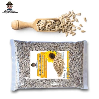 เมล็ดทานตะวันดิบ กะเทาะเปลือก 1 kg (Sunflower Kernels)