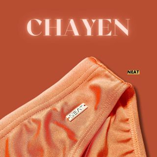 กางเกงว่ายน้ำผู้ชาย NEAT รุ่นผ้าเงา | ทรงบรีฟ มีซับใน เชือกป…